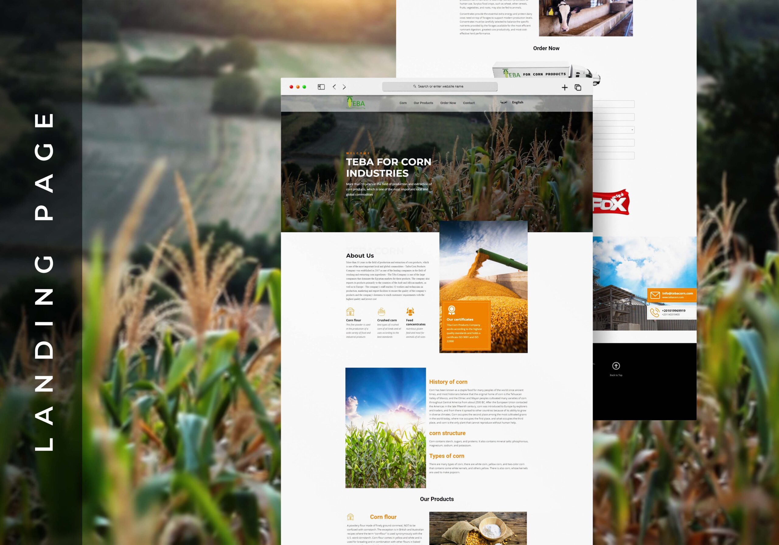 Teba Corn Website